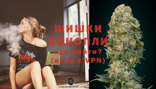 СК Протвино