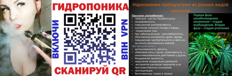 Конопля Amnesia  купить  цена  Мамадыш 